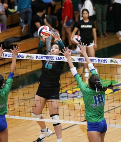 (File photo) Jumping to set the ball over the net, junior Desiree Soto scores a point against the Montwood Rams on Sept. 13. 
Photo by Nevaeh Buntyn